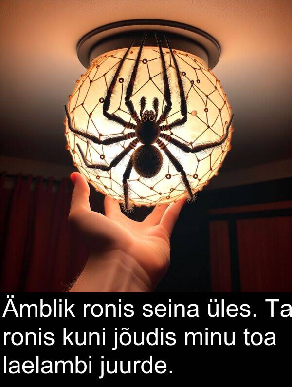 laelambi: Ämblik ronis seina üles. Ta ronis kuni jõudis minu toa laelambi juurde.