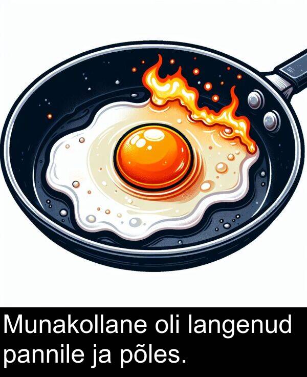 põles: Munakollane oli langenud pannile ja põles.