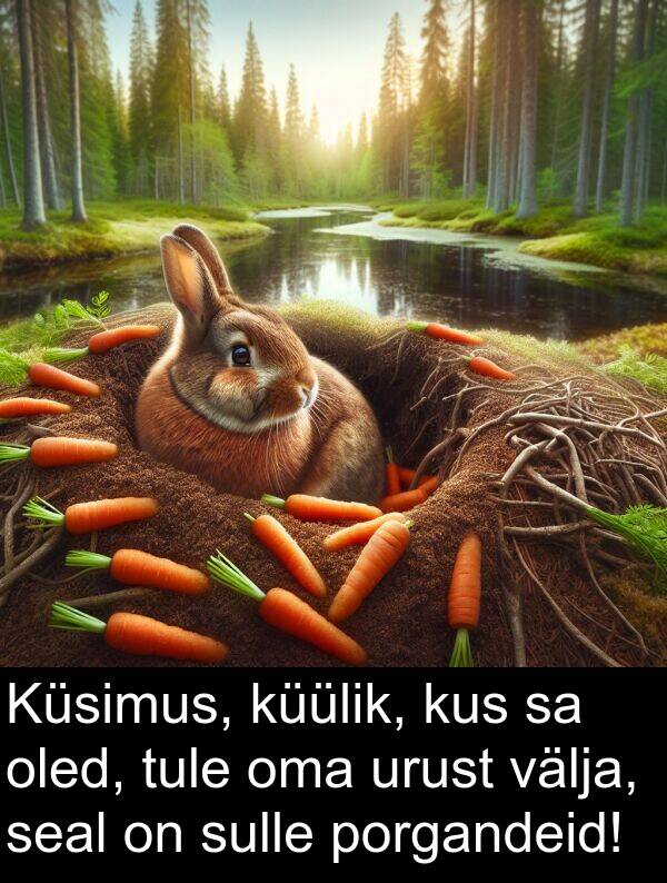 sulle: Küsimus, küülik, kus sa oled, tule oma urust välja, seal on sulle porgandeid!