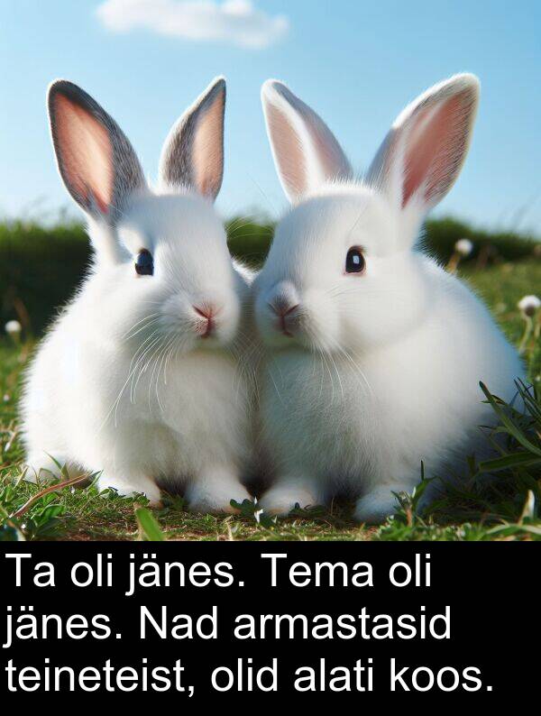 koos: Ta oli jänes. Tema oli jänes. Nad armastasid teineteist, olid alati koos.