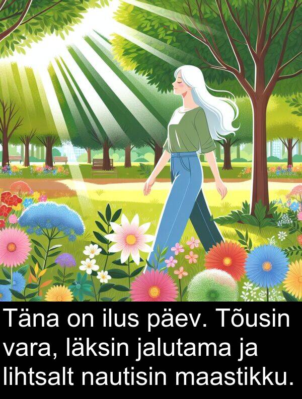 läksin: Täna on ilus päev. Tõusin vara, läksin jalutama ja lihtsalt nautisin maastikku.