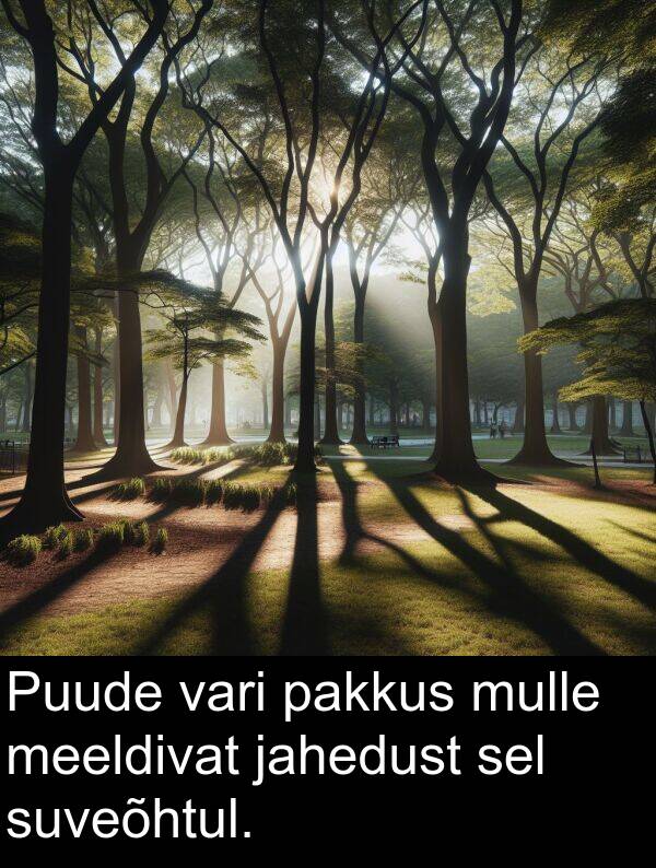 jahedust: Puude vari pakkus mulle meeldivat jahedust sel suveõhtul.