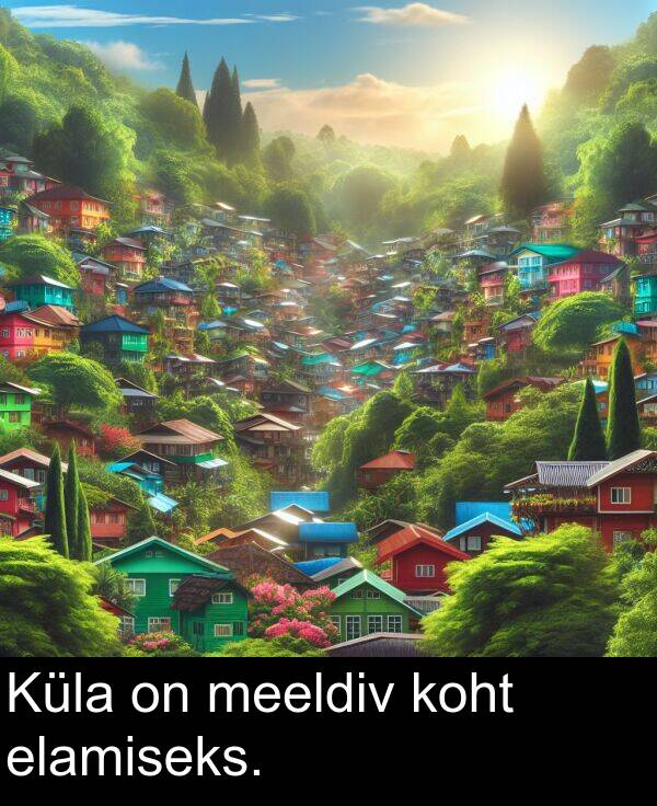koht: Küla on meeldiv koht elamiseks.