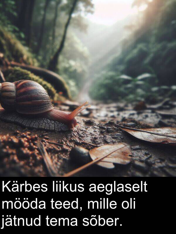 sõber: Kärbes liikus aeglaselt mööda teed, mille oli jätnud tema sõber.