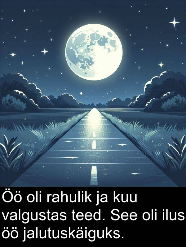 kuu: Öö oli rahulik ja kuu valgustas teed. See oli ilus öö jalutuskäiguks.