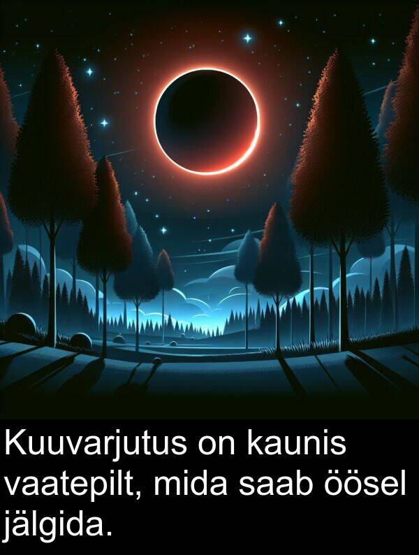 mida: Kuuvarjutus on kaunis vaatepilt, mida saab öösel jälgida.