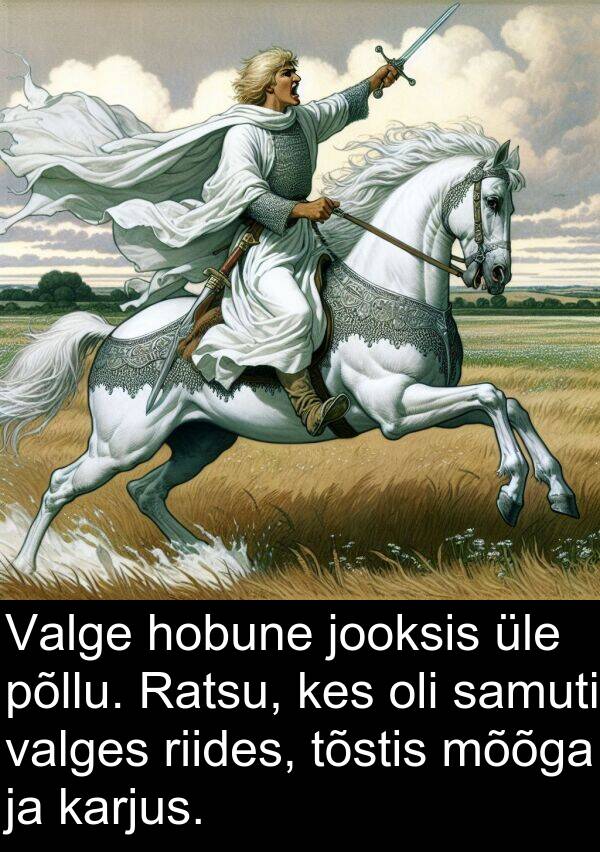 mõõga: Valge hobune jooksis üle põllu. Ratsu, kes oli samuti valges riides, tõstis mõõga ja karjus.