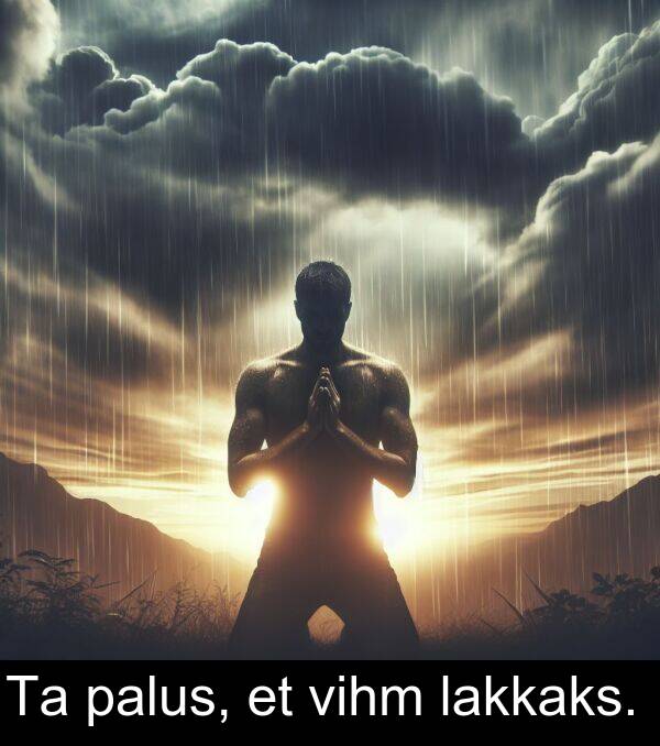 vihm: Ta palus, et vihm lakkaks.
