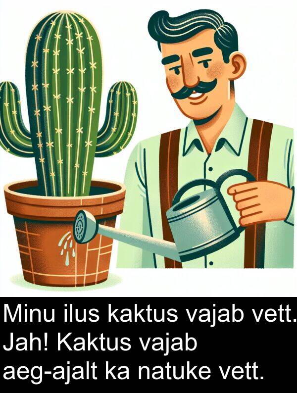 vett: Minu ilus kaktus vajab vett. Jah! Kaktus vajab aeg-ajalt ka natuke vett.