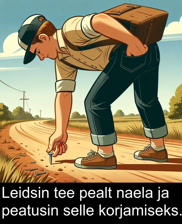 korjamiseks: Leidsin tee pealt naela ja peatusin selle korjamiseks.
