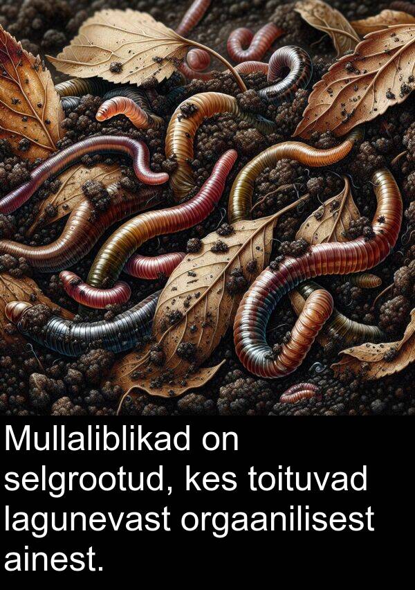lagunevast: Mullaliblikad on selgrootud, kes toituvad lagunevast orgaanilisest ainest.