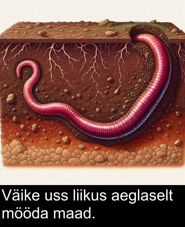 mööda: Väike uss liikus aeglaselt mööda maad.