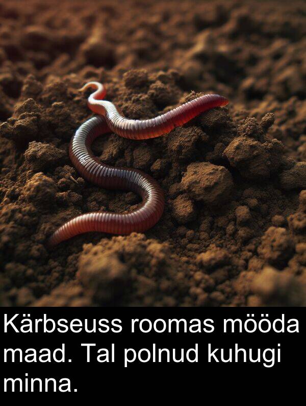 mööda: Kärbseuss roomas mööda maad. Tal polnud kuhugi minna.