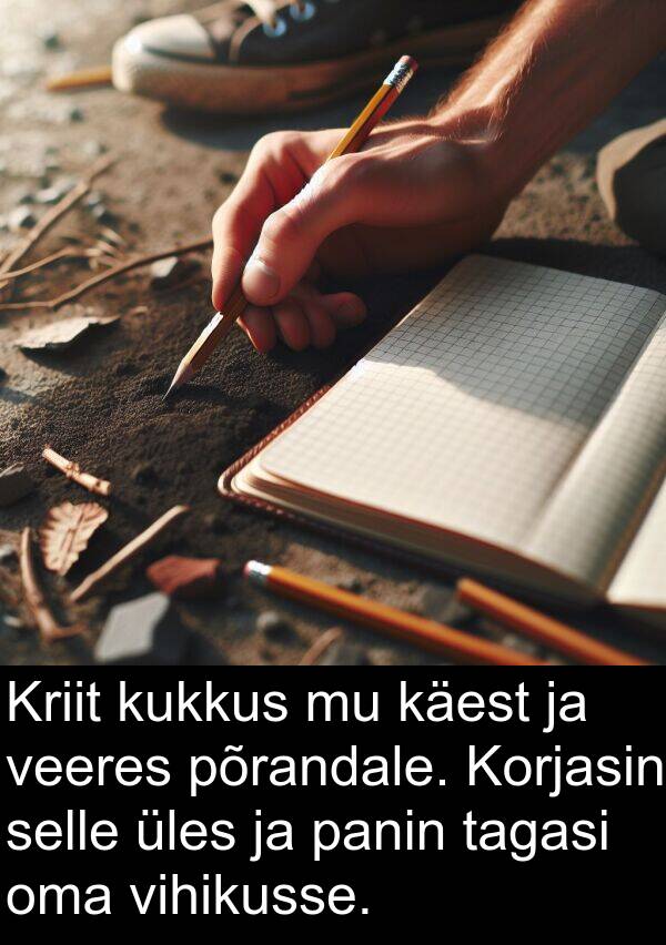 kukkus: Kriit kukkus mu käest ja veeres põrandale. Korjasin selle üles ja panin tagasi oma vihikusse.