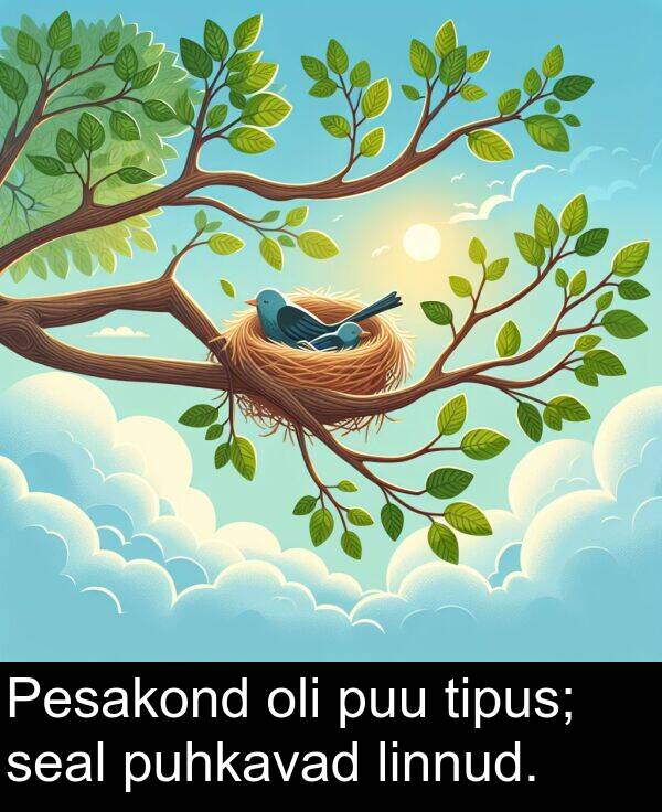 linnud: Pesakond oli puu tipus; seal puhkavad linnud.