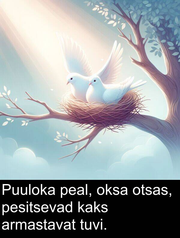 otsas: Puuloka peal, oksa otsas, pesitsevad kaks armastavat tuvi.