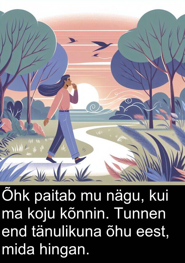 paitab: Õhk paitab mu nägu, kui ma koju kõnnin. Tunnen end tänulikuna õhu eest, mida hingan.
