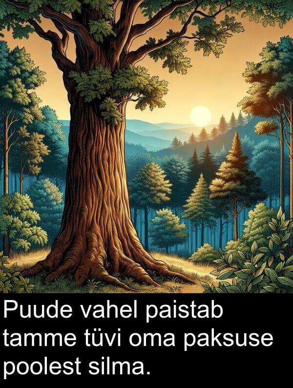 tüvi: Puude vahel paistab tamme tüvi oma paksuse poolest silma.
