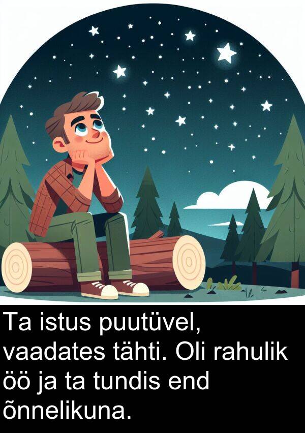 tundis: Ta istus puutüvel, vaadates tähti. Oli rahulik öö ja ta tundis end õnnelikuna.