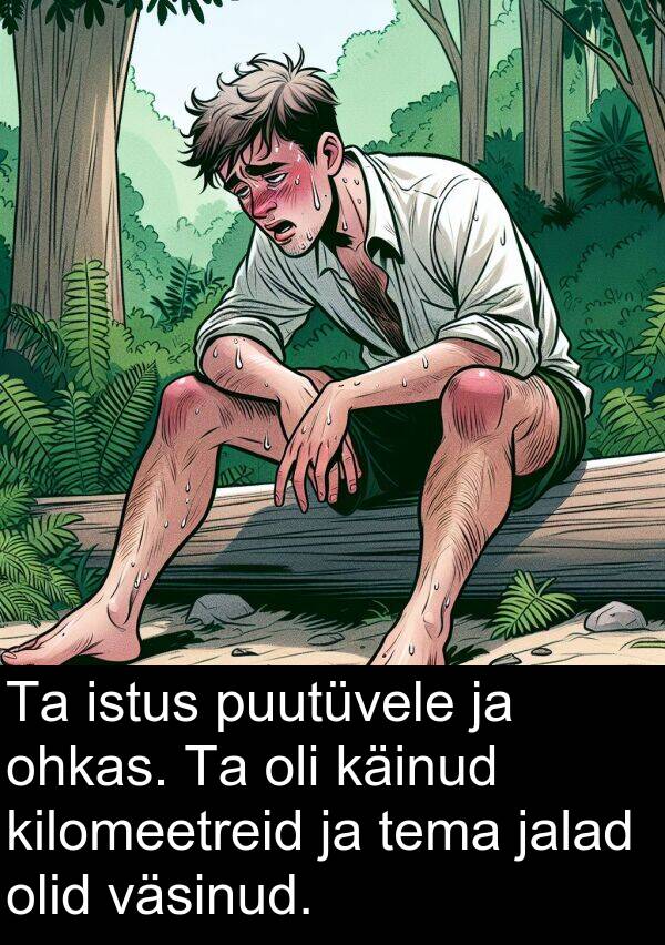 puutüvele: Ta istus puutüvele ja ohkas. Ta oli käinud kilomeetreid ja tema jalad olid väsinud.