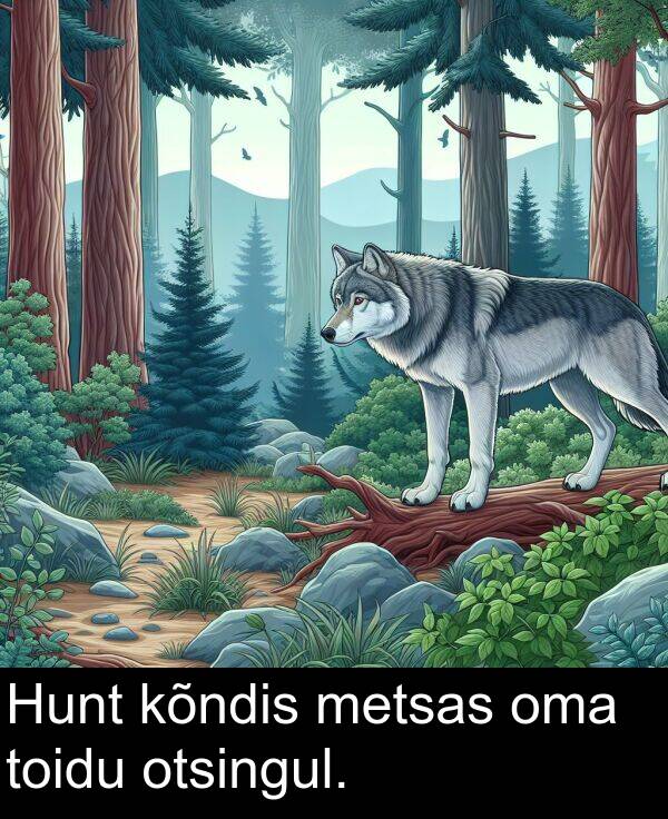toidu: Hunt kõndis metsas oma toidu otsingul.