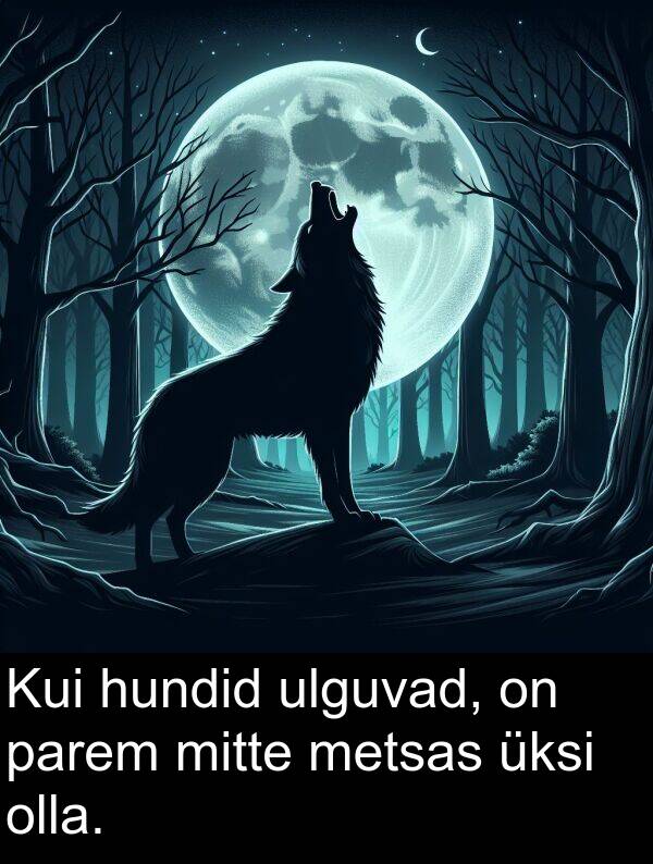 ulguvad: Kui hundid ulguvad, on parem mitte metsas üksi olla.