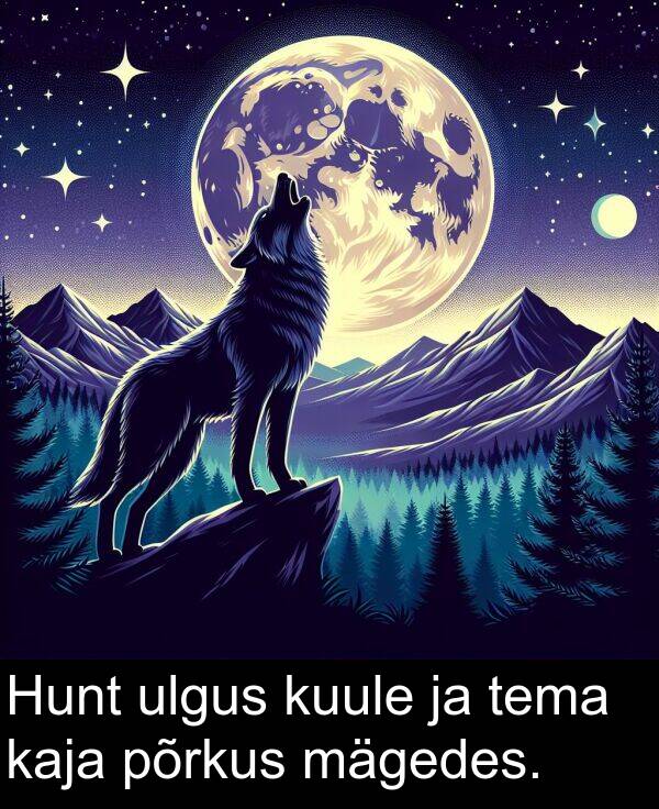 põrkus: Hunt ulgus kuule ja tema kaja põrkus mägedes.