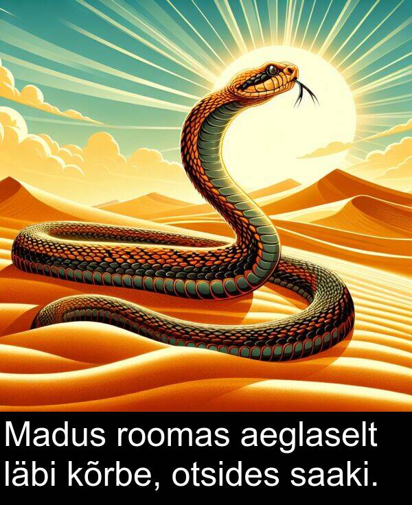 kõrbe: Madus roomas aeglaselt läbi kõrbe, otsides saaki.