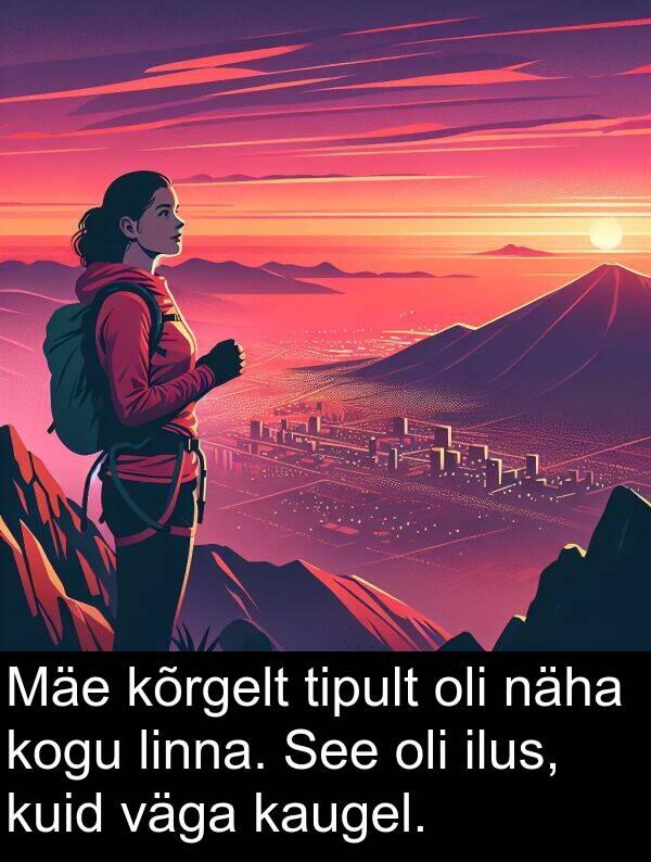 tipult: Mäe kõrgelt tipult oli näha kogu linna. See oli ilus, kuid väga kaugel.