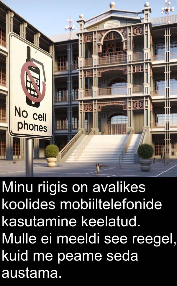 riigis: Minu riigis on avalikes koolides mobiiltelefonide kasutamine keelatud. Mulle ei meeldi see reegel, kuid me peame seda austama.