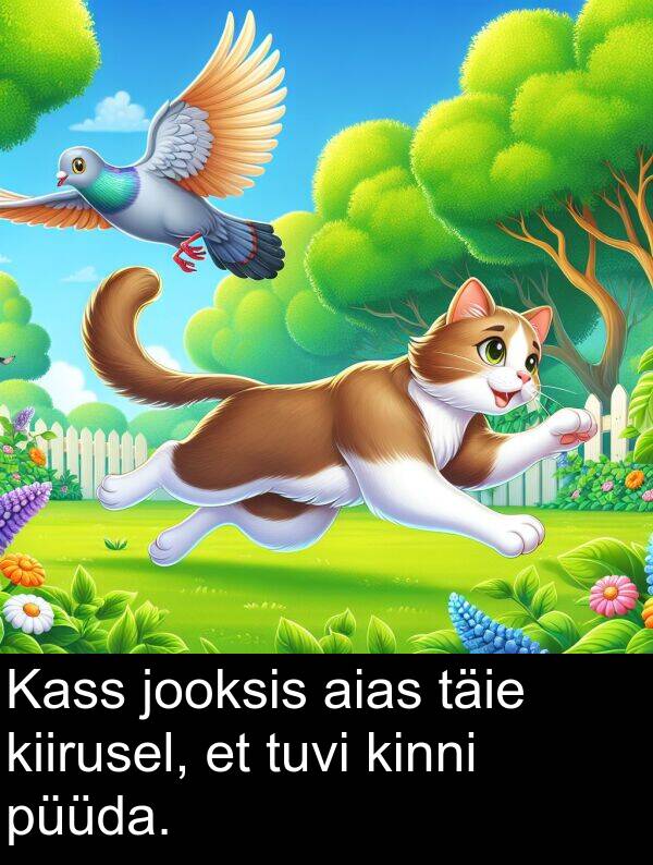 tuvi: Kass jooksis aias täie kiirusel, et tuvi kinni püüda.