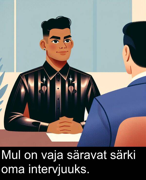 säravat: Mul on vaja säravat särki oma intervjuuks.