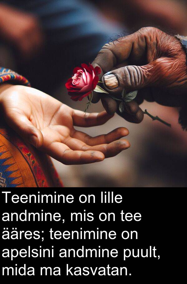 puult: Teenimine on lille andmine, mis on tee ääres; teenimine on apelsini andmine puult, mida ma kasvatan.