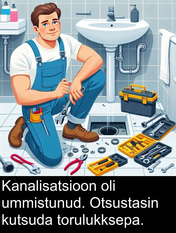 torulukksepa: Kanalisatsioon oli ummistunud. Otsustasin kutsuda torulukksepa.