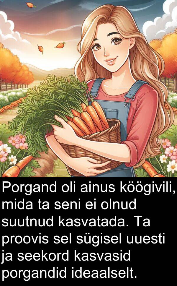 uuesti: Porgand oli ainus köögivili, mida ta seni ei olnud suutnud kasvatada. Ta proovis sel sügisel uuesti ja seekord kasvasid porgandid ideaalselt.