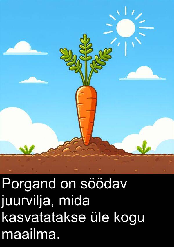 söödav: Porgand on söödav juurvilja, mida kasvatatakse üle kogu maailma.