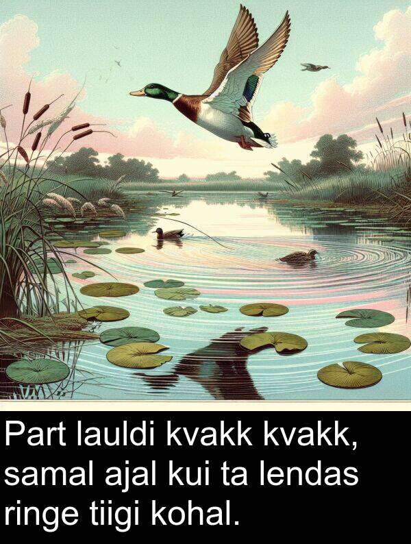 kohal: Part lauldi kvakk kvakk, samal ajal kui ta lendas ringe tiigi kohal.
