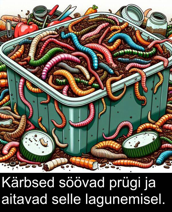 lagunemisel: Kärbsed söövad prügi ja aitavad selle lagunemisel.