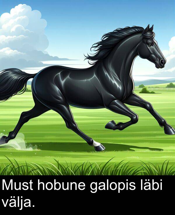 välja: Must hobune galopis läbi välja.