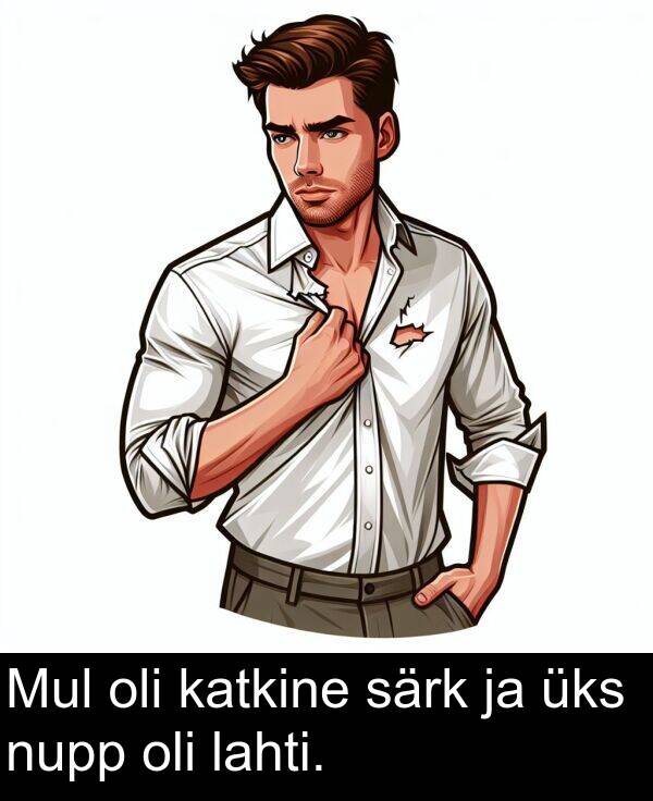 särk: Mul oli katkine särk ja üks nupp oli lahti.