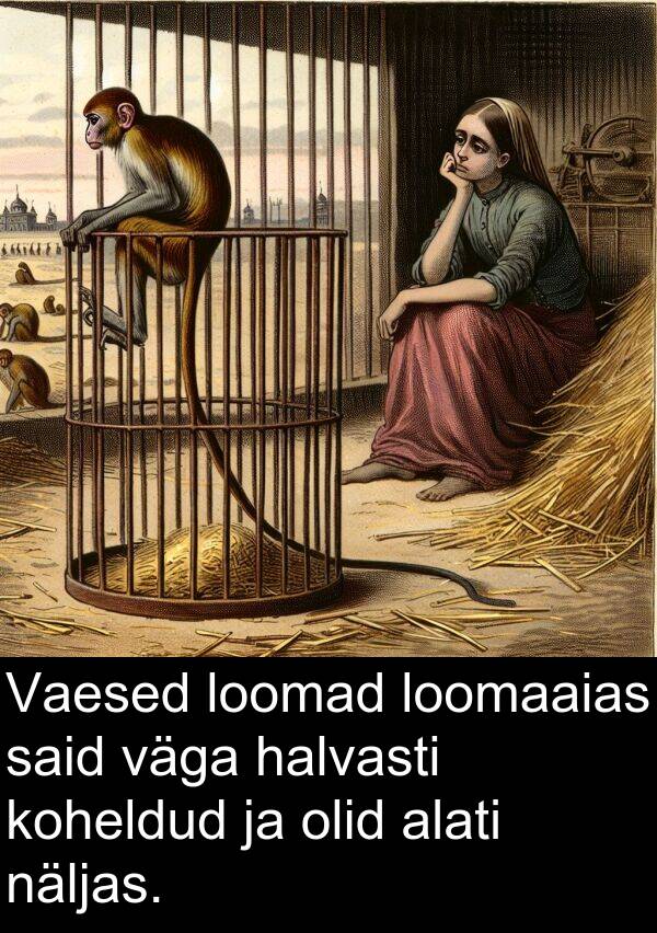 loomaaias: Vaesed loomad loomaaias said väga halvasti koheldud ja olid alati näljas.