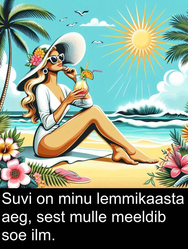 minu: Suvi on minu lemmikaasta aeg, sest mulle meeldib soe ilm.