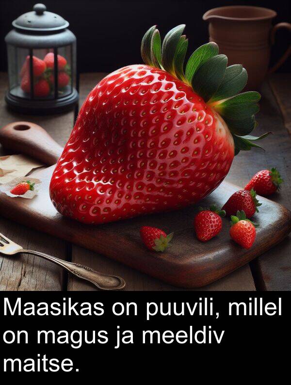 millel: Maasikas on puuvili, millel on magus ja meeldiv maitse.