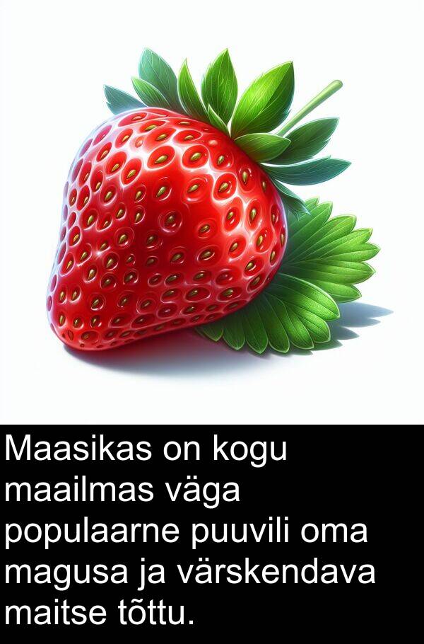 tõttu: Maasikas on kogu maailmas väga populaarne puuvili oma magusa ja värskendava maitse tõttu.