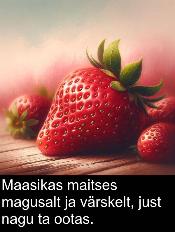 värskelt: Maasikas maitses magusalt ja värskelt, just nagu ta ootas.