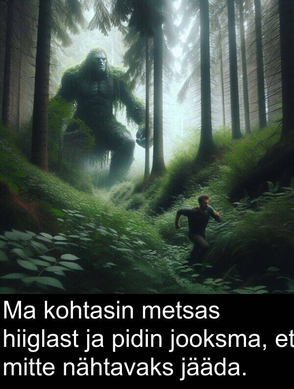 metsas: Ma kohtasin metsas hiiglast ja pidin jooksma, et mitte nähtavaks jääda.