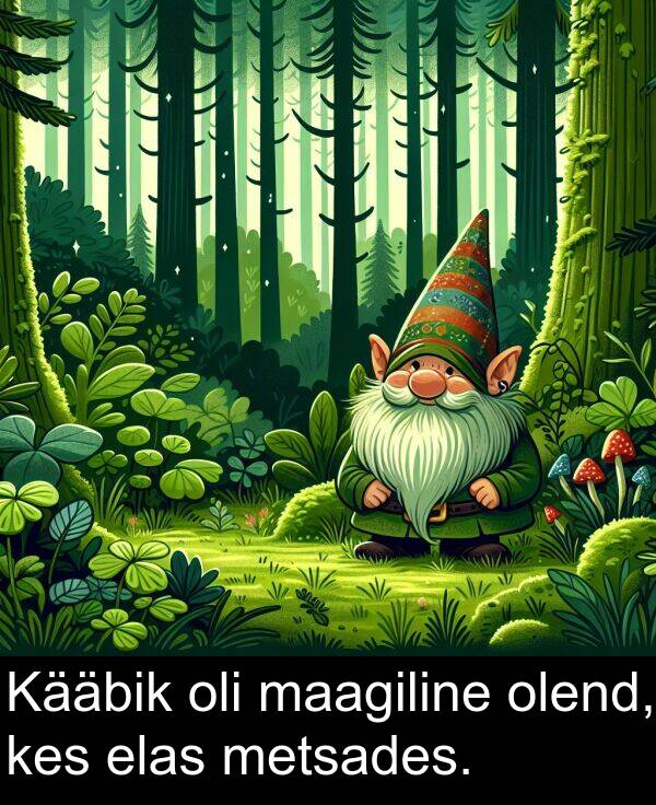 elas: Kääbik oli maagiline olend, kes elas metsades.