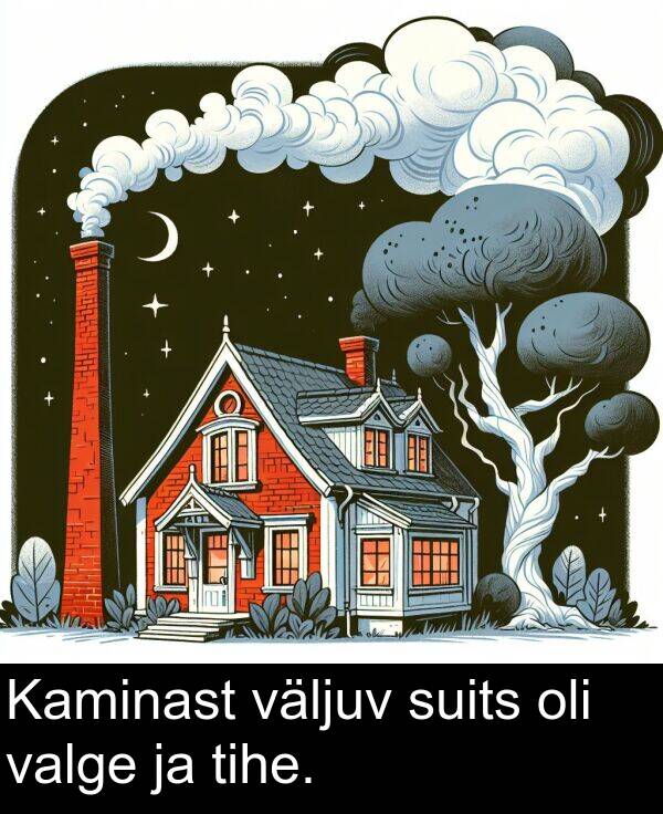 väljuv: Kaminast väljuv suits oli valge ja tihe.