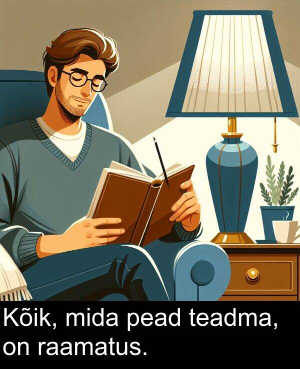 mida: Kõik, mida pead teadma, on raamatus.