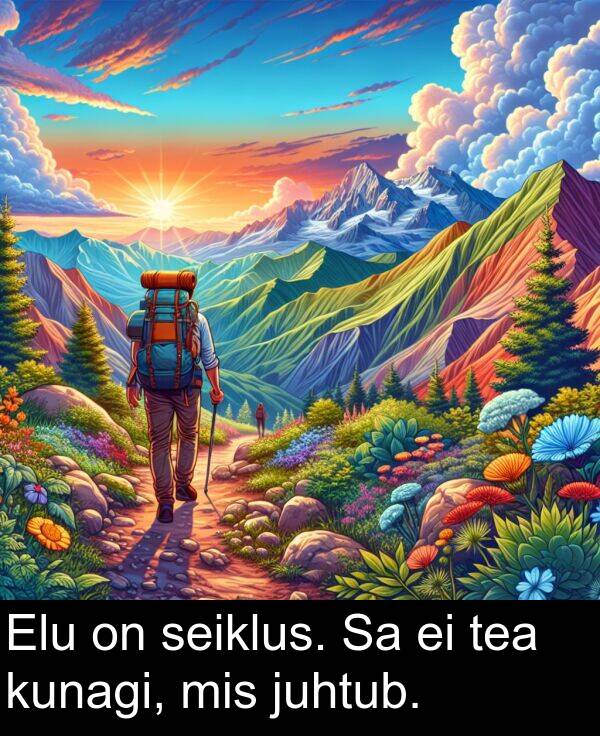 kunagi: Elu on seiklus. Sa ei tea kunagi, mis juhtub.
